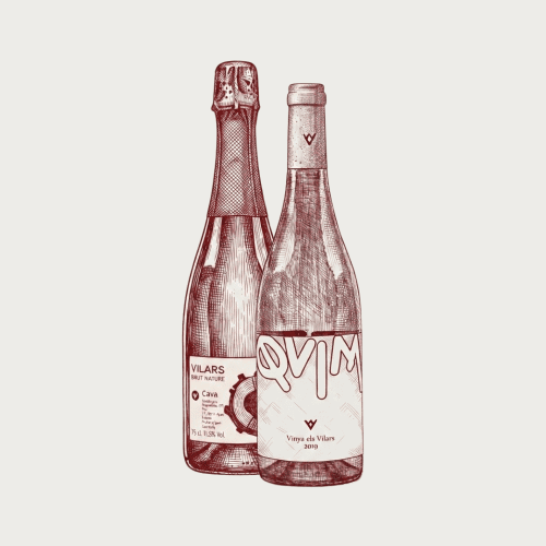 Assortiment Vinya els Vilars Catalaanse rode en witte wijnen en traditionele Cava brut.